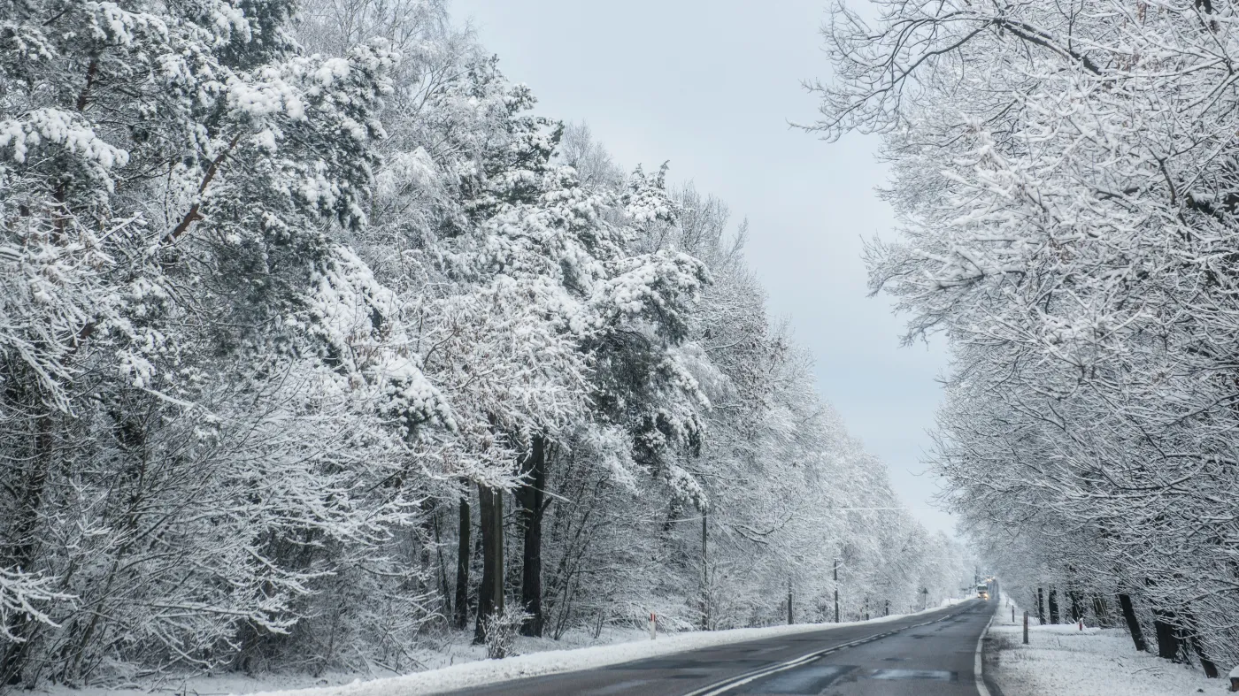 Trzaskające mrozy do niedzieli. Gdzie śnieg dotrwa do świąt? PROGNOZA POGODY