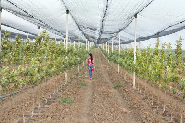 Na Zachodzie nie ma kto pracować. Pracodawcy biją się o Polaków