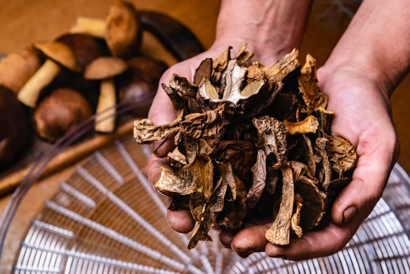 suszenie grzybów, sprawdzone sposoby