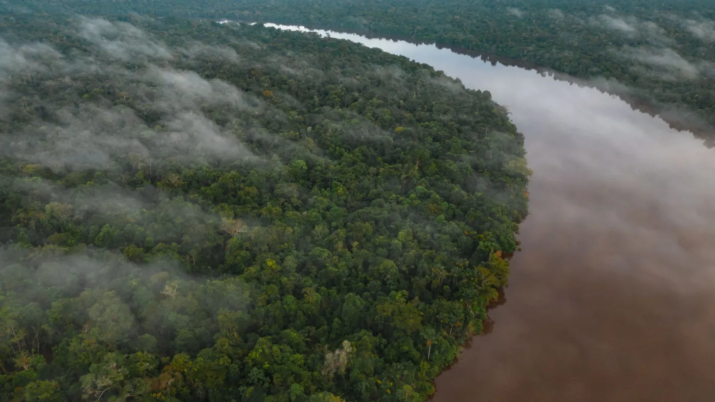 Nieznany gatunek wielkich, zabójczych os odkryty w Peru. "Samica najpierw gładzi ofiarę czułkami..."