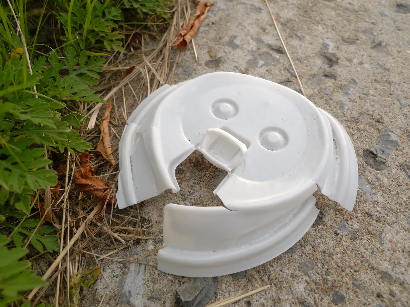 Widzisz twarze w przypadkowych przedmiotach? To może być pareidolia