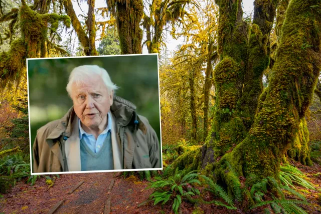 David Attenborough zdradza sekret świetnej formy. Wykluczył z diety te produkty