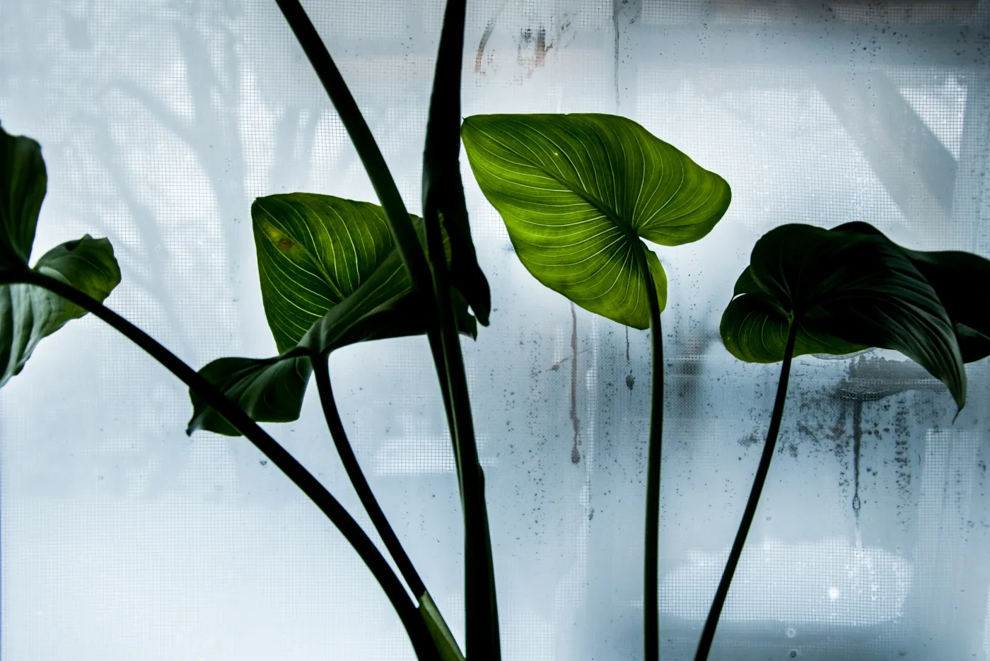 Jak pozbyć się nadmiernej wilgoci w domu? Trzy sprawdzone sposoby