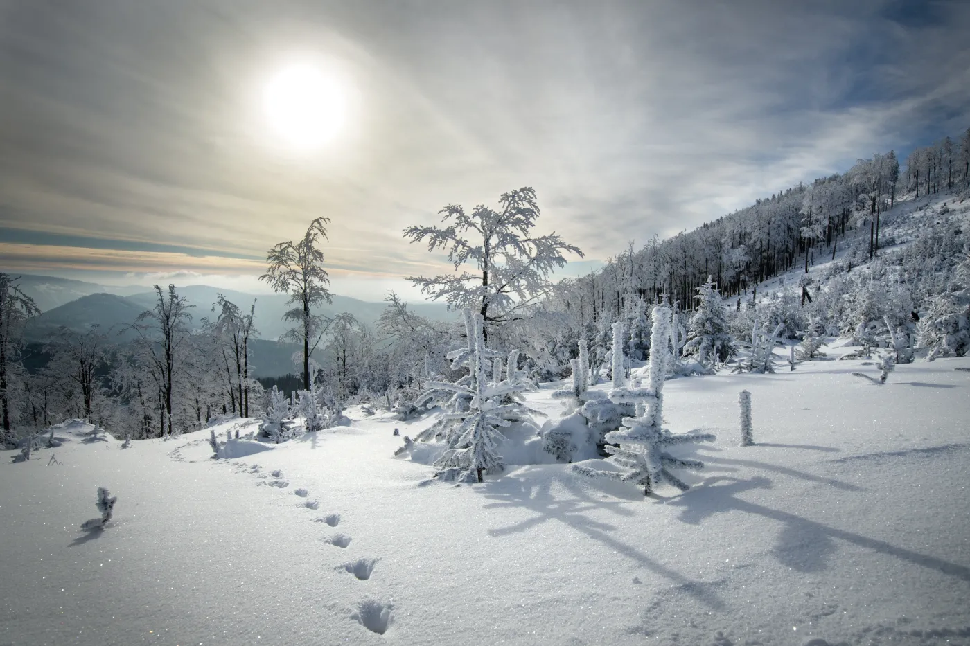Śnieg w Beskidzie Śląskim