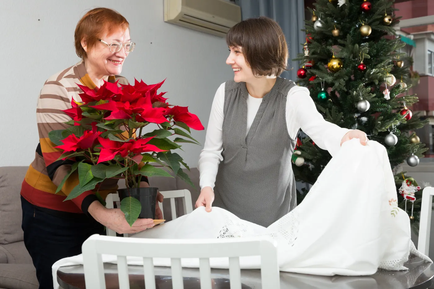 Zobacz, jakie kwiaty doniczkowe będą idealne na święta