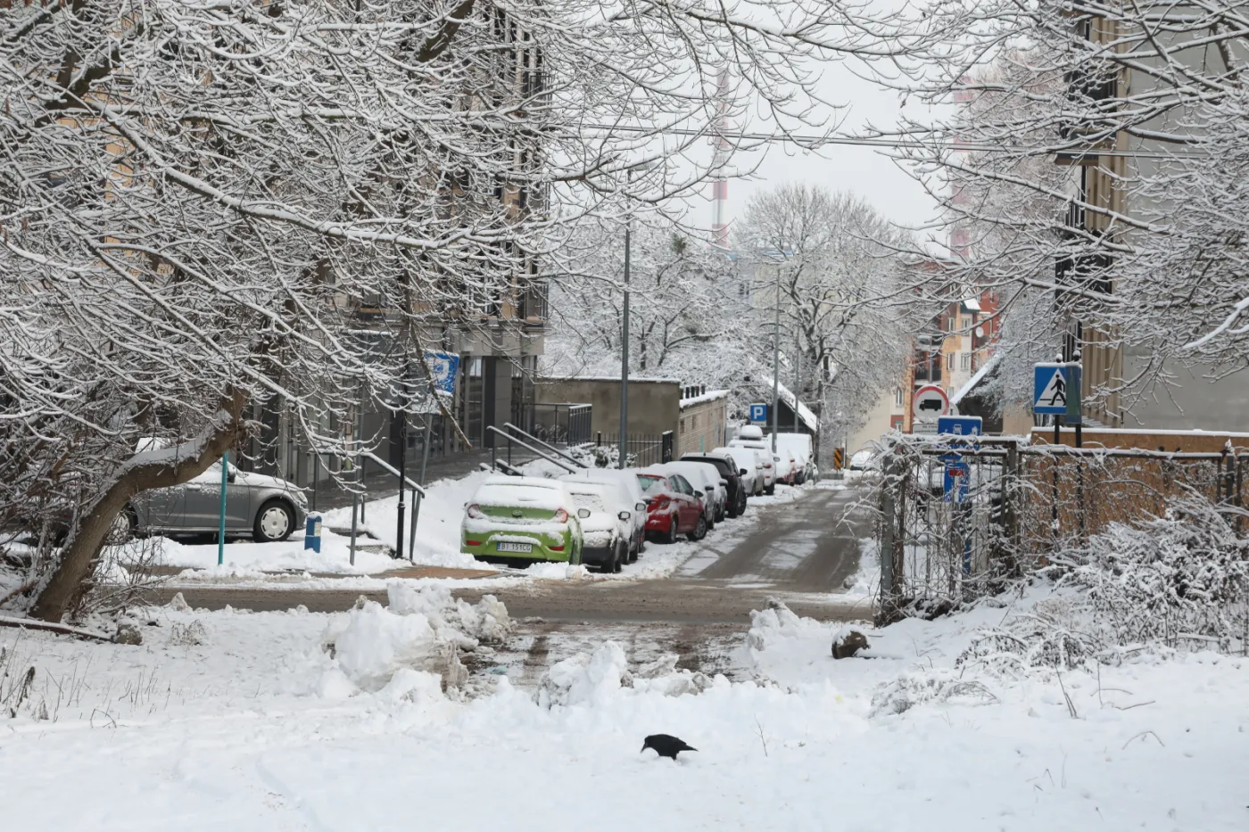 Atak zimy. Ostrzeżenia przed trudnymi warunkami drogowymi w kraju