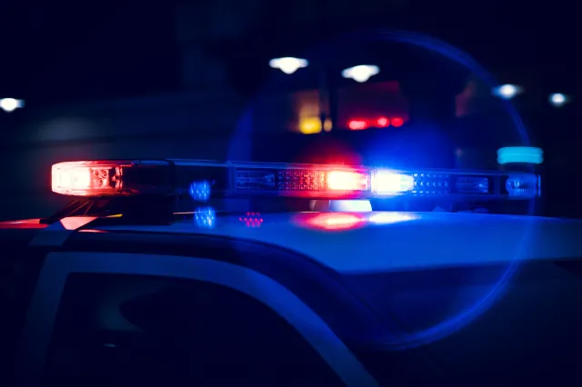 Makabryczne odkrycie na Kaszubach. Znaleziono ciało trzeciego noworodka