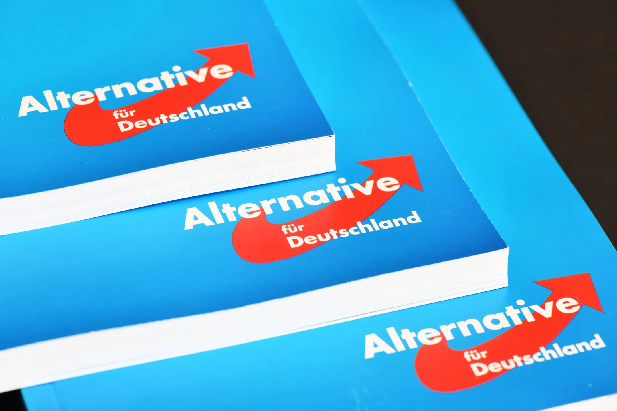Protesty zaszkodziły AfD. Takiego poparcia partia nie miała od dawna ...