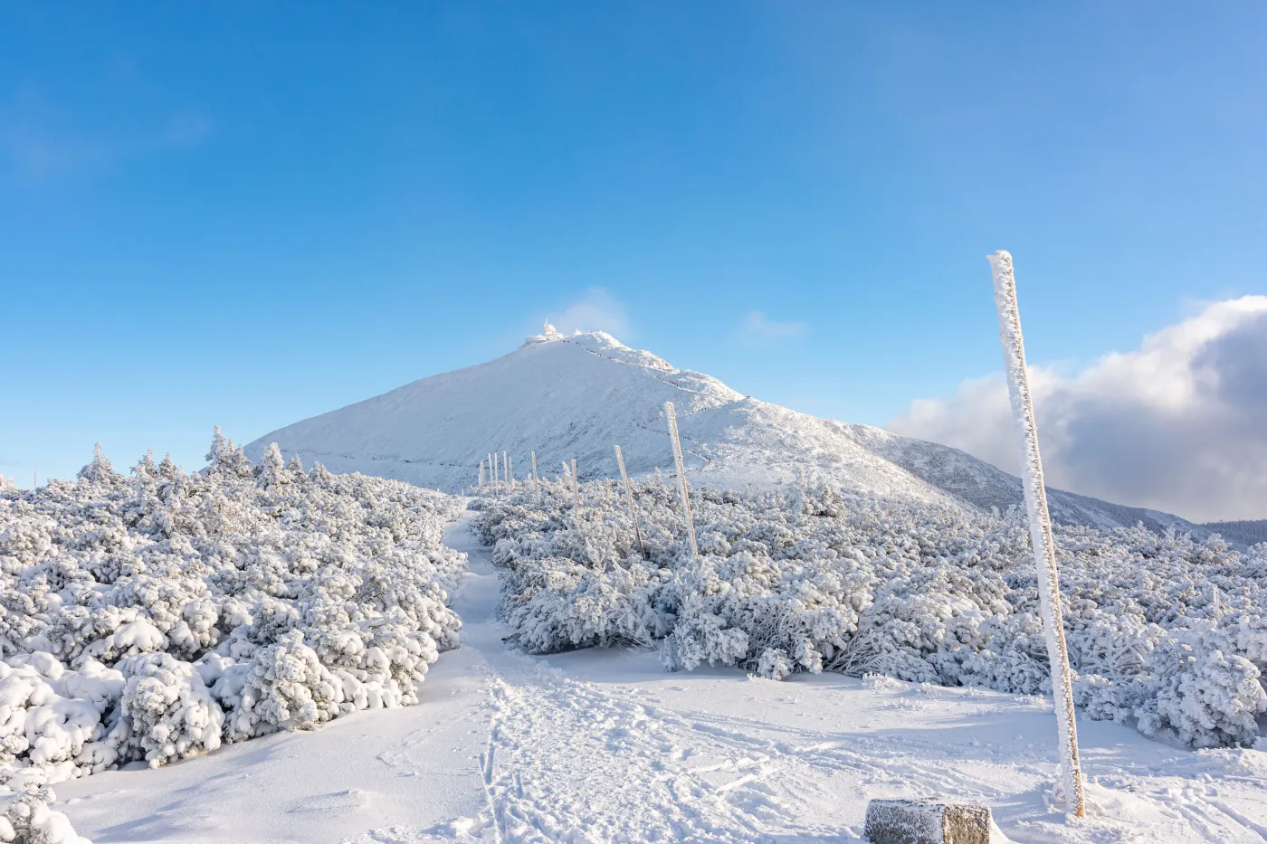 Tragiczny wypadek na Śnieżce. Czym jest "rynna śmierci"?