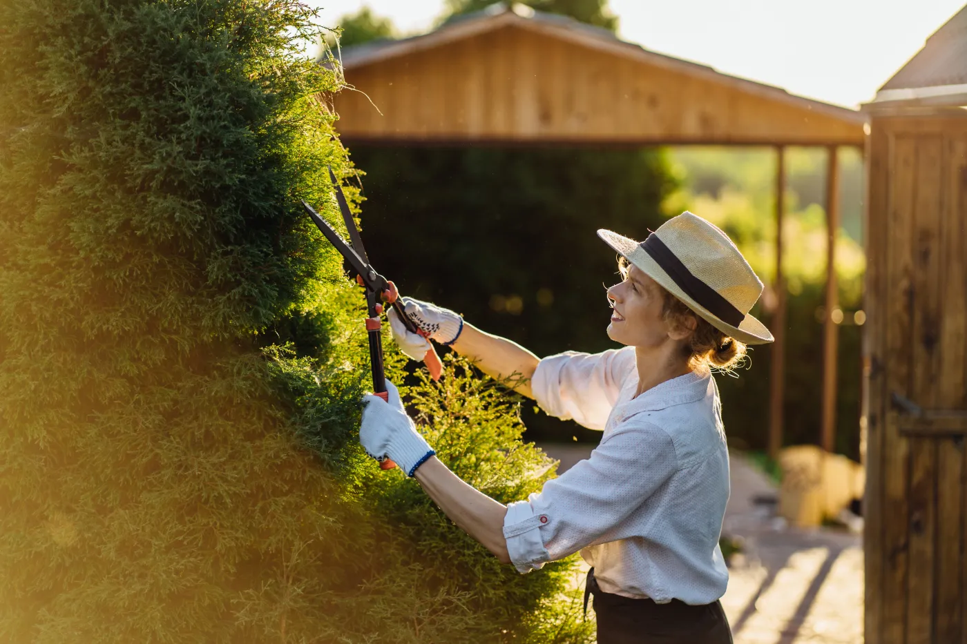 Tuja tuje żywotnik ogród Side,View,Portrait,Of,Blond,Slim,Woman,Gardener,In,Apron