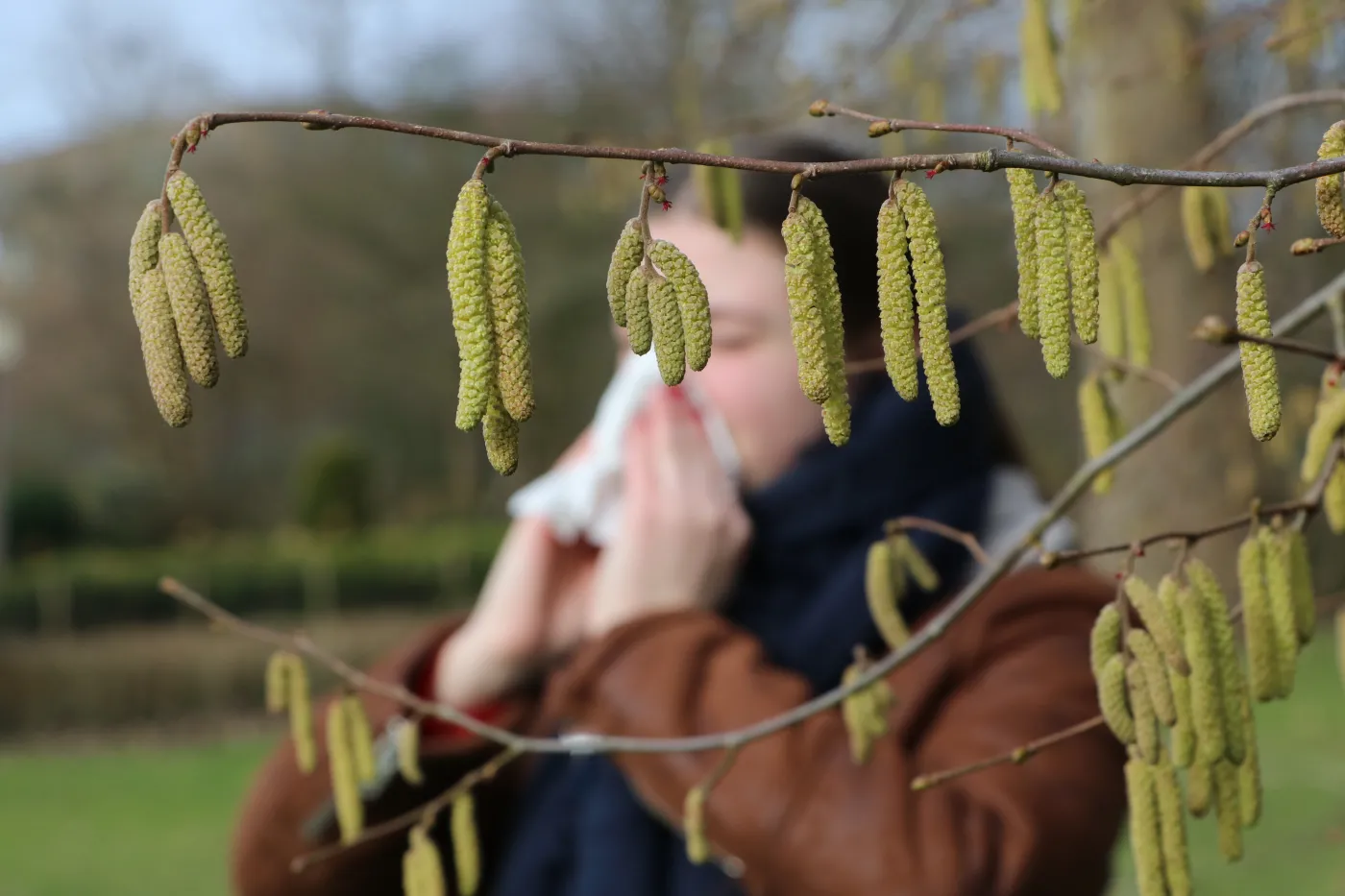 Sezon na pyłki rozpoczęty. Co teraz pyli?