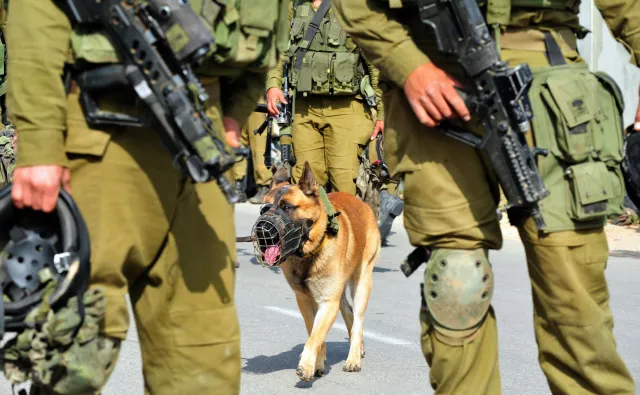 Izraelscy żołnierze zabili palestyńskich nastolatków