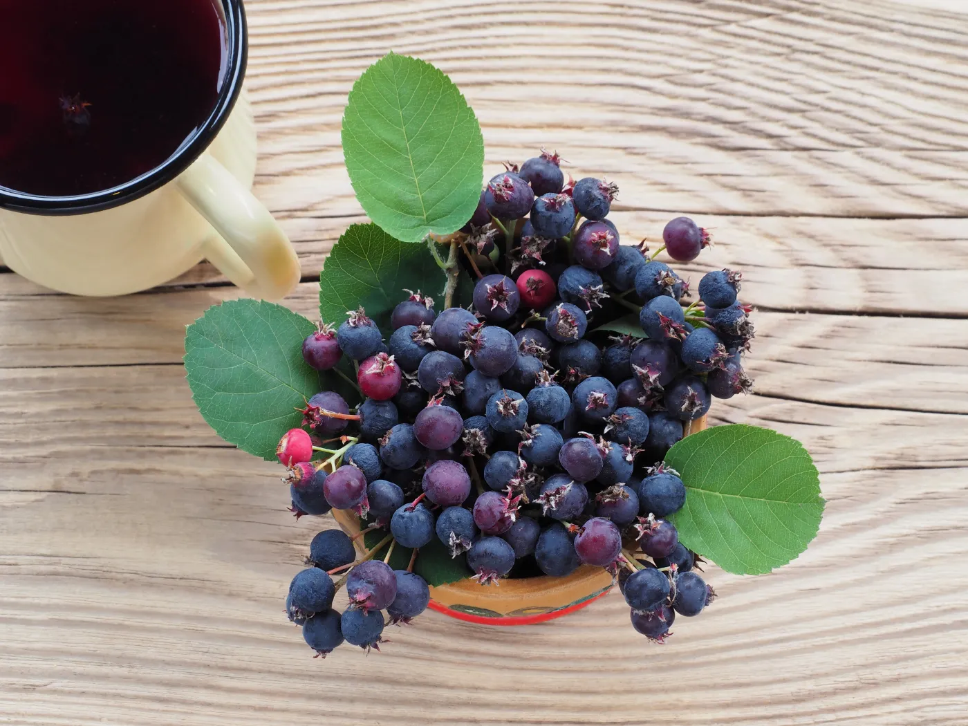 Świdośliwa - następczyni borówki