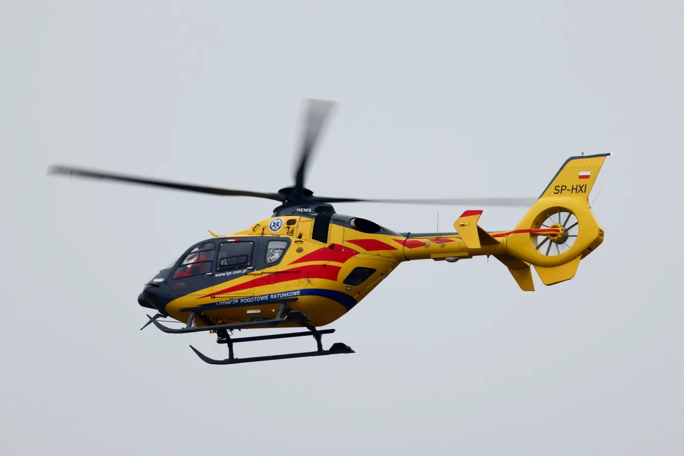 Wypadek w Szczecinie. Konar przygniótł trójkę dzieci