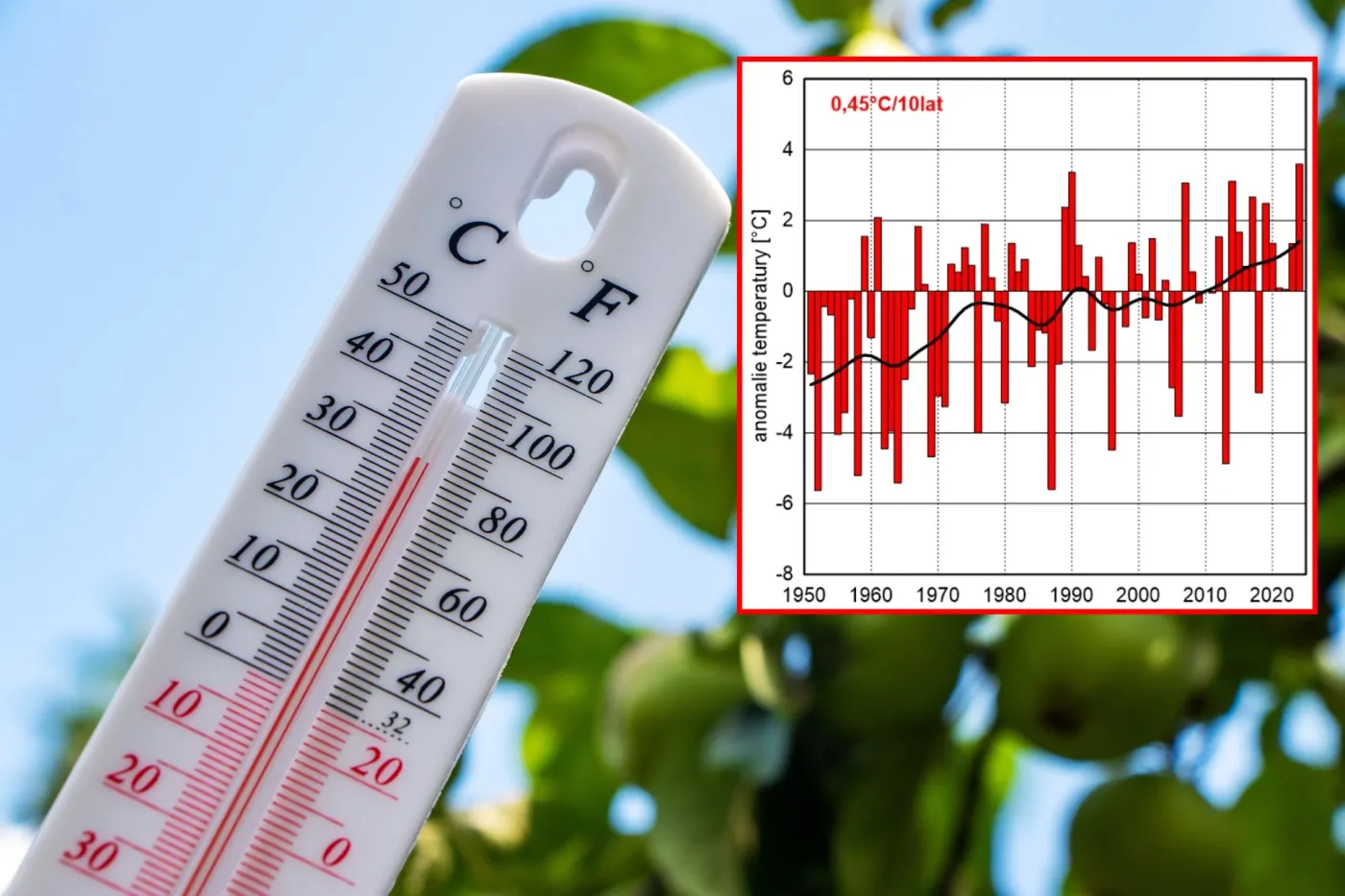 Instytut Meteorologii i Gospodarki Wodnej (IMGW) potwierdził, że tegoroczny marzec został sklasyfikowany jako "ekstremalny" i najcieplejszy w okresie powojennym