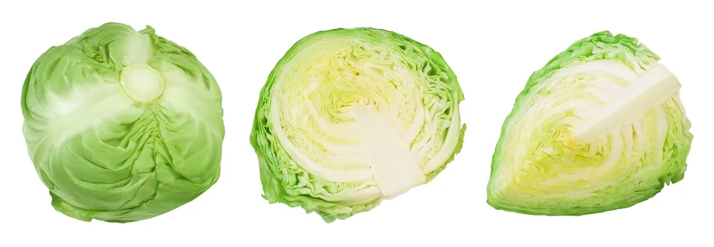 shutterstock-2273880109-38206697.jpg
