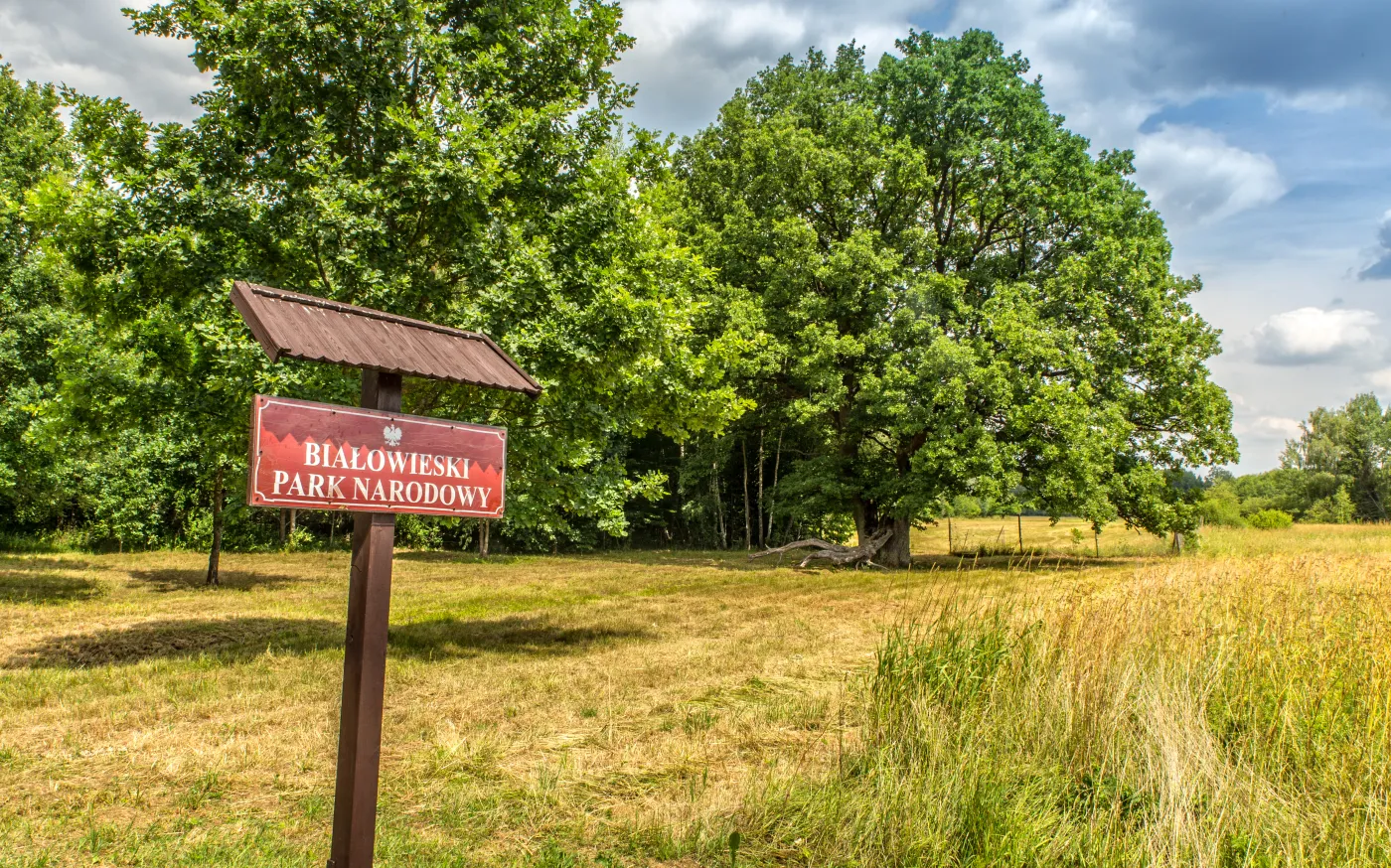 Białowieski Park Narodowy