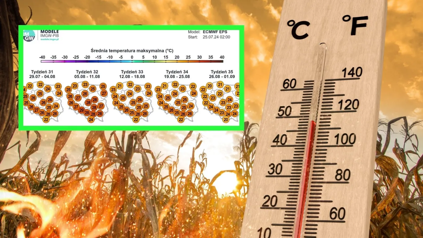 Kolejna fala upałów? Prognoza pogody na sierpień 2024 zaskakuje