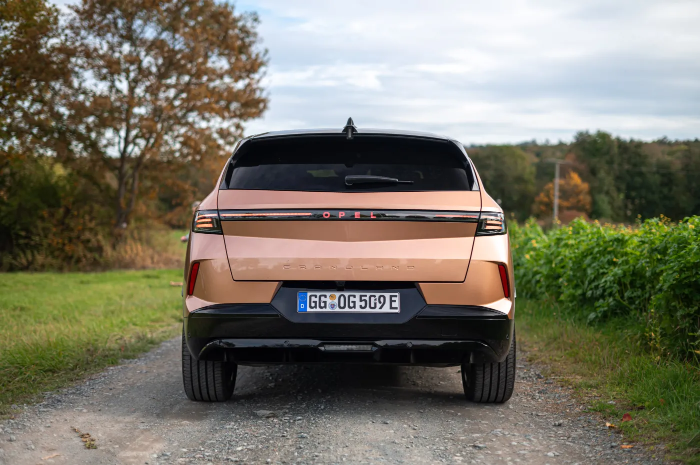 opel-grandland-electric-38318389.jpg