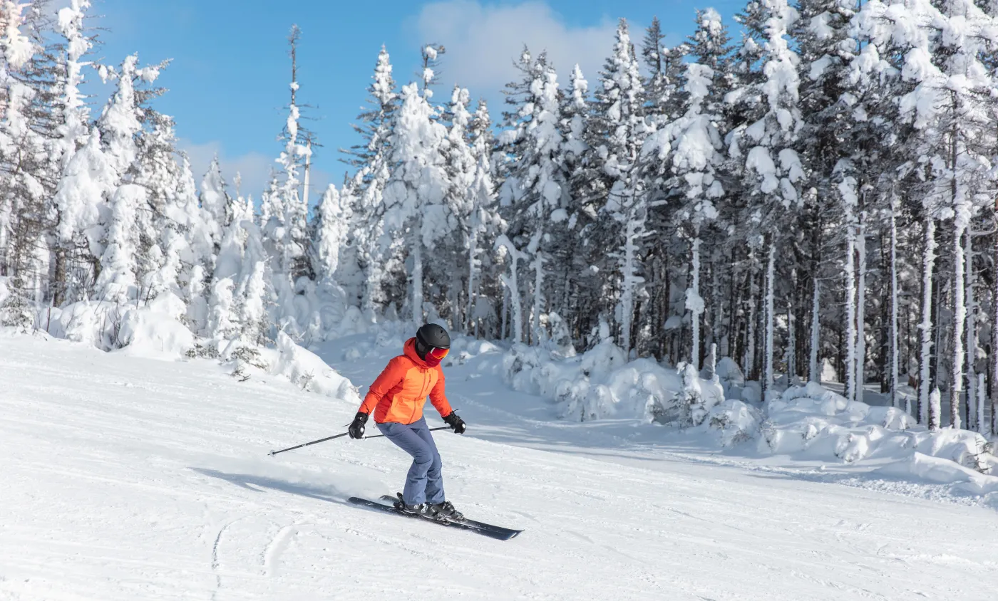 Stok narciarz narciarstwo górskie góry Alpine,Ski.,Skiing,Woman,Skier,Going,Downhill,Against,Snow,Covered