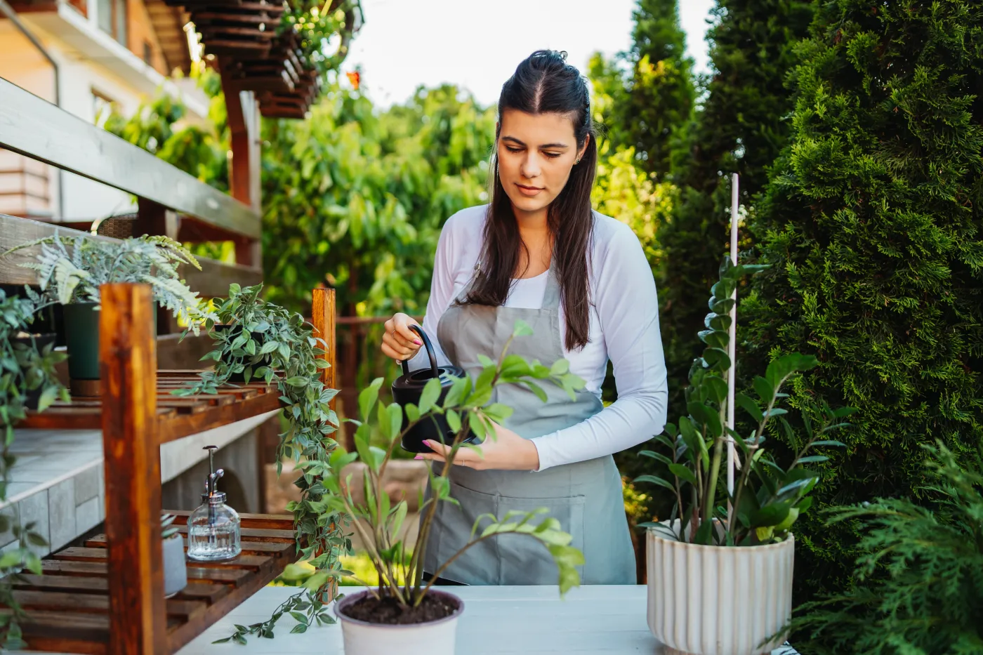 Zaparz 3 łyżki i wlej do doniczki. Prosty i skuteczny sposób na ziemiórki