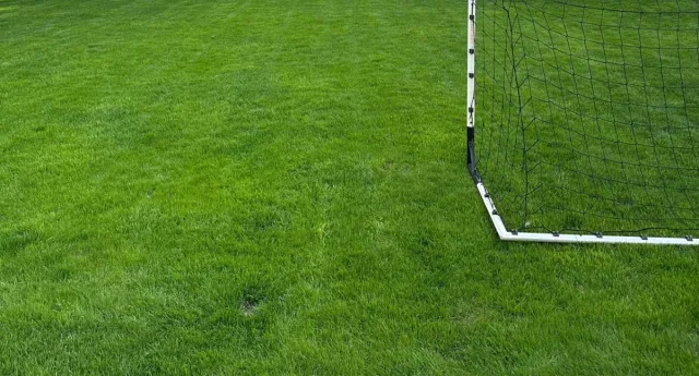 Jak często podlewać i kosić trawnik?