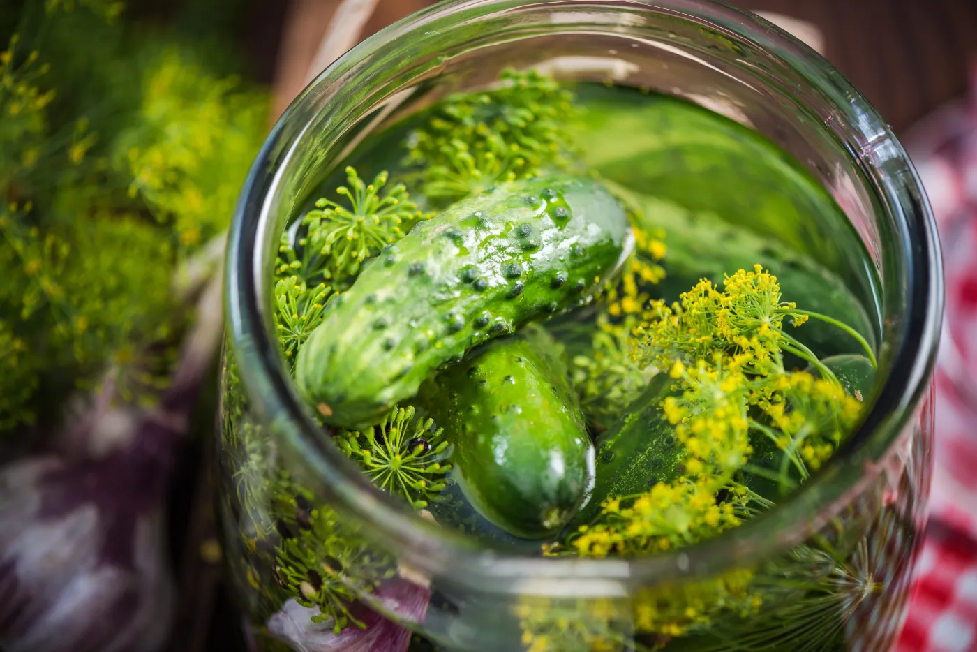 Traditional,Organic,Savory,Pickled,Gherkins,And,Cucumbers,In,Glass,Jar