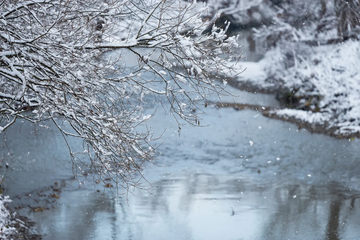 Pogoda na czwartek. Kontynuacja opadów śniegu i deszczu ze śniegiem. Nawet -12 stopni Celsjusza!