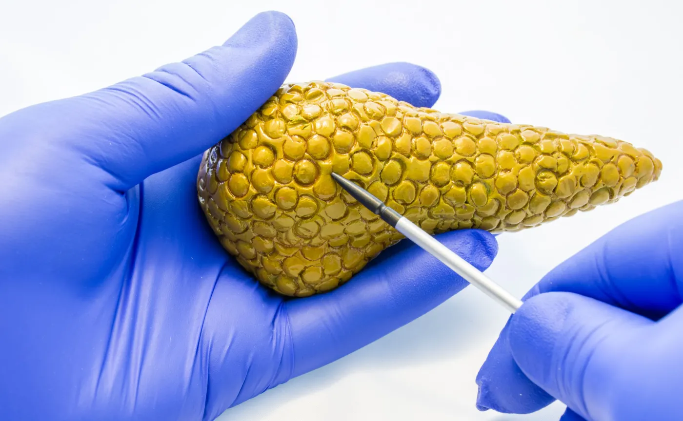 Naukowcy odkryli sposób na zagłodzenie raka