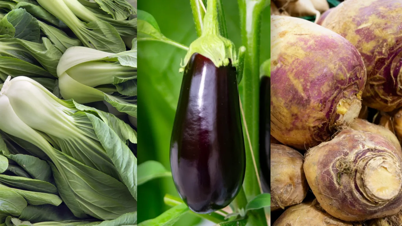 Ekspresowy QUIZ obrazkowy. Mniej znane warzywa. Tylko 8 szybkich pytań