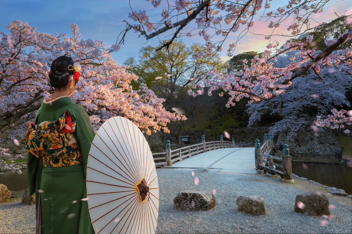 Japonia kimono wiśnia 