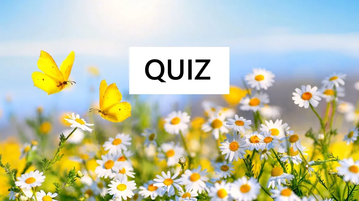 QUIZ o wiośnie dla dzieci z okazji pierwszego dnia wiosny