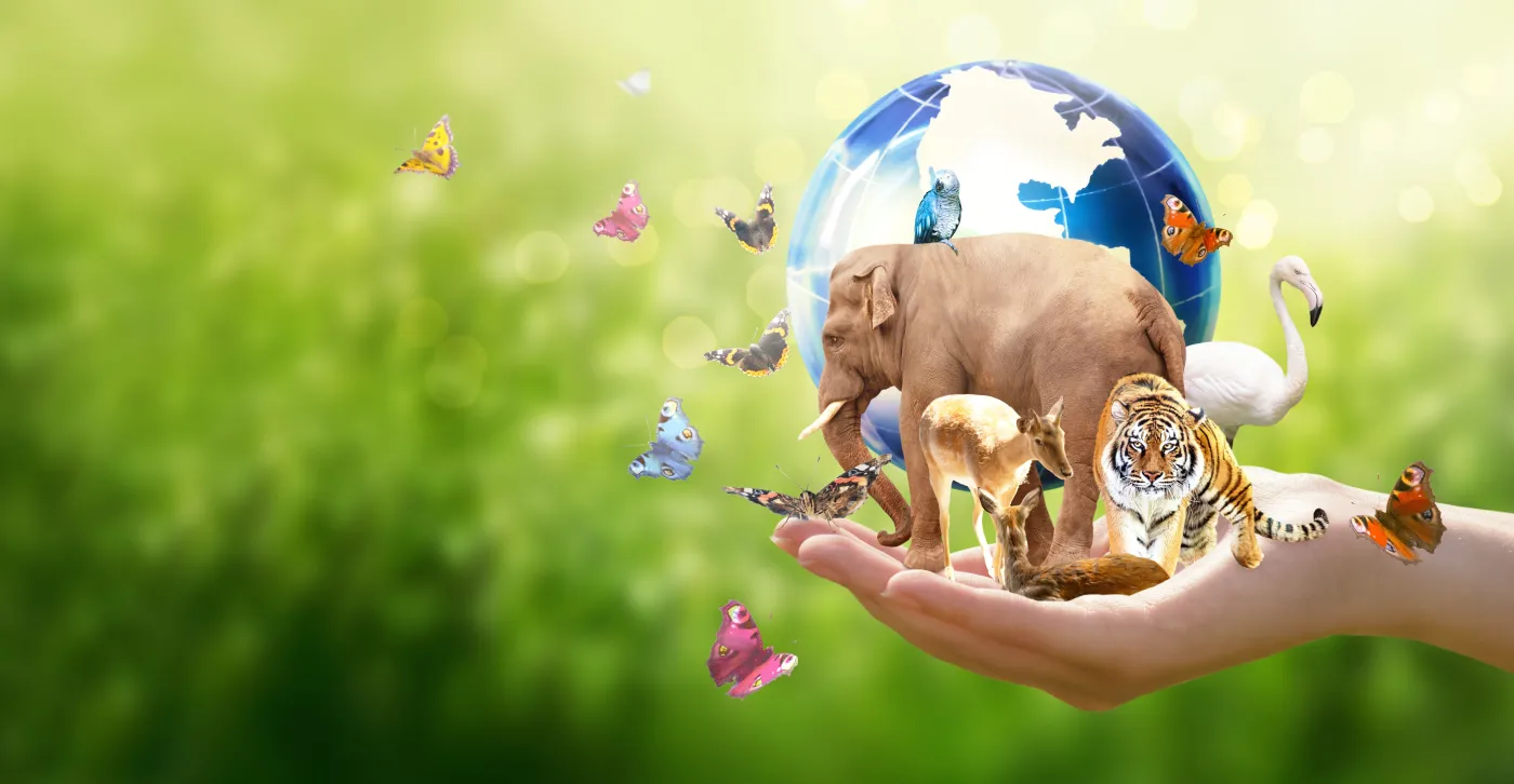 Łatwy QUIZ z biologii. Wynik gorszy niż 7/10 oznacza, że powrót do szkoły może być konieczny