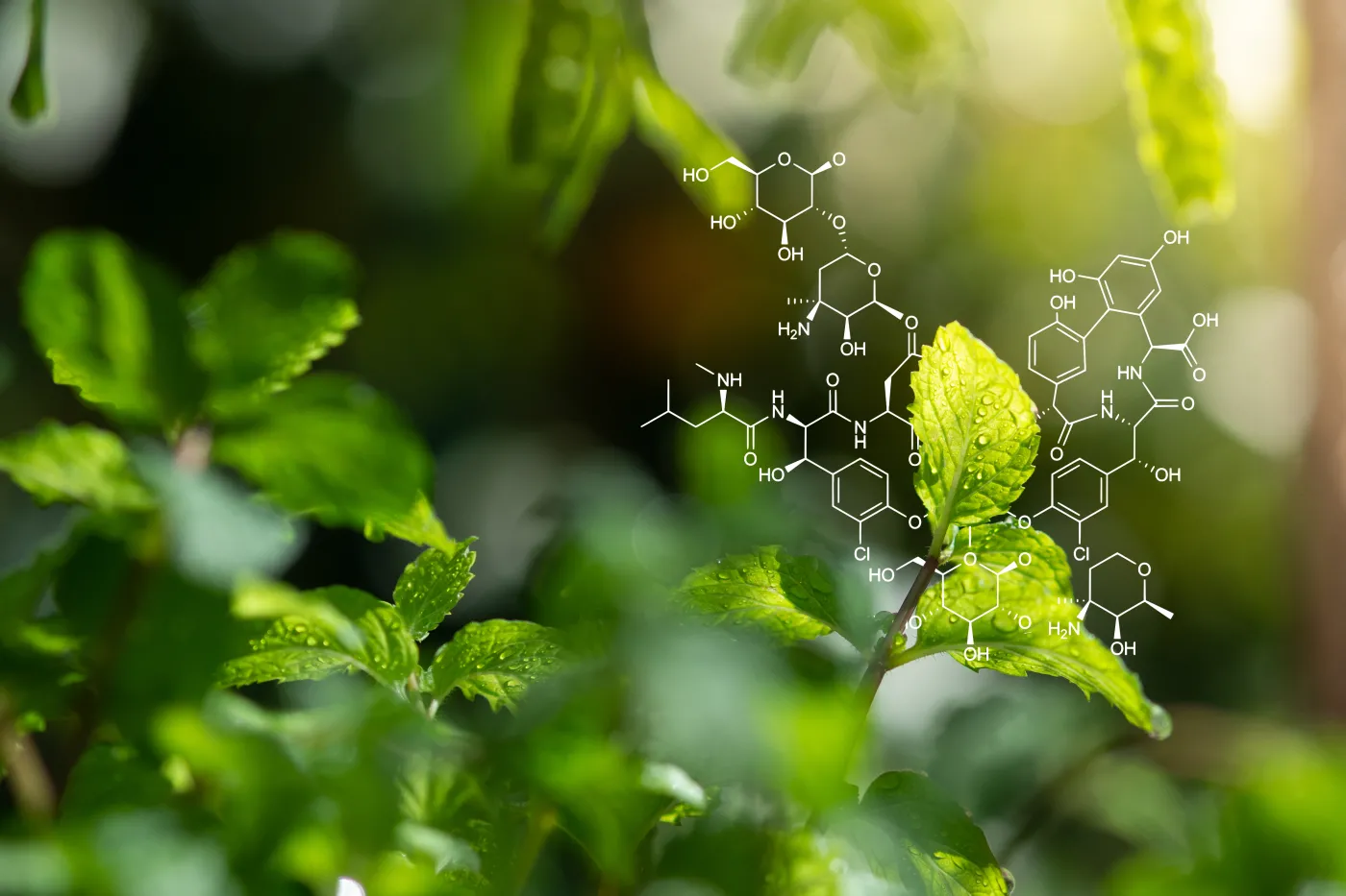 Szkolny QUIZ z chemii. Poziom: Średni. Wynik 7/10 to minimum, by "zdać"