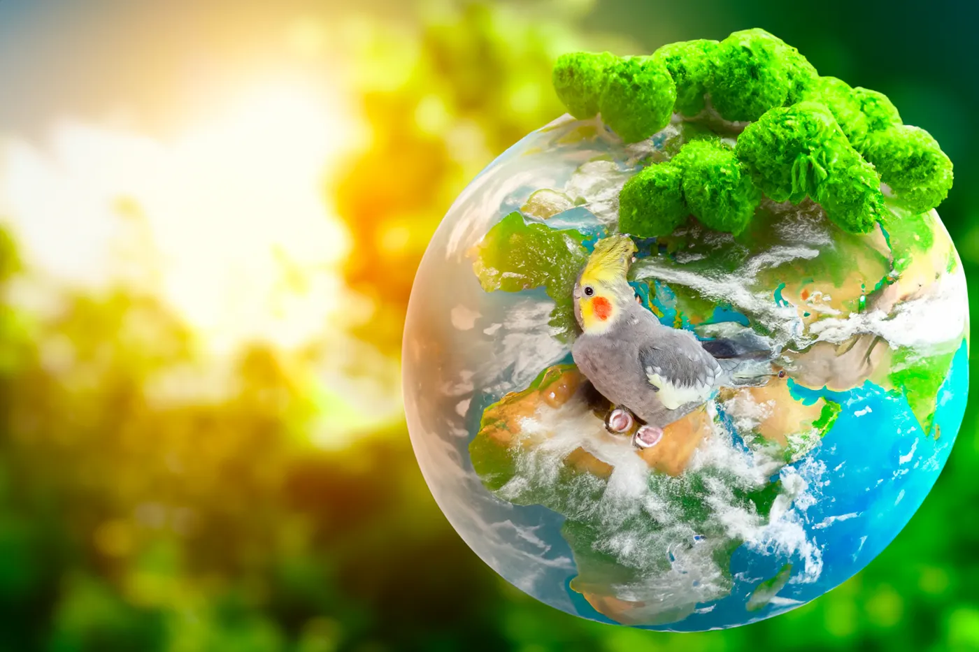 5-minutowy quiz przyrodniczy. Sprawdź co wiesz o świecie natury