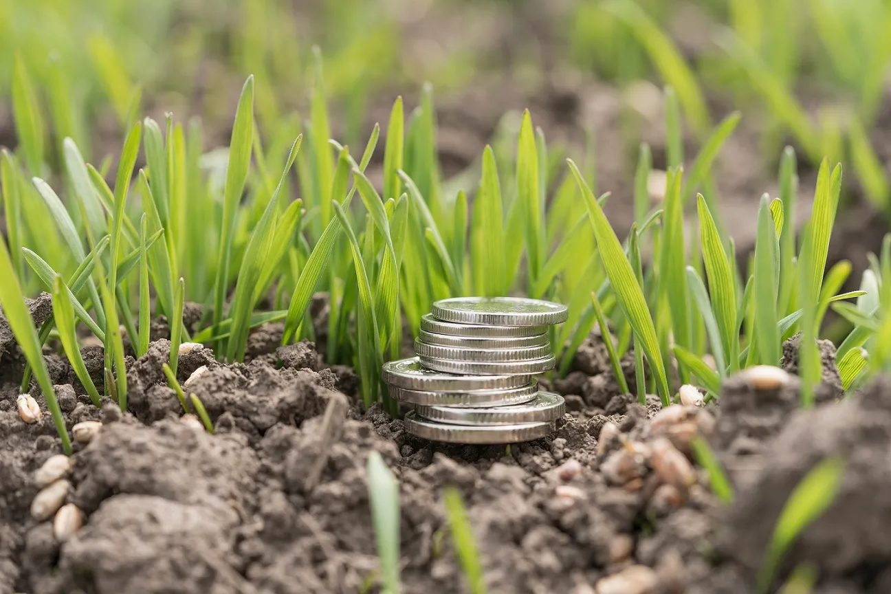 pieniądze ziemia rolnik