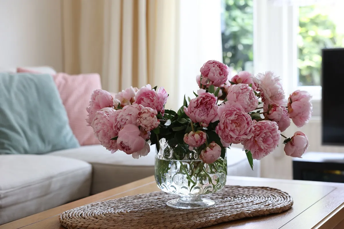 peonie piwonie w wazonie