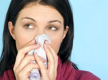 WD 1018-15  MODEL RELEASED.  Brunette female with long hair, wearing a raspberry roll neck jumper, looking to side and blowing her nose with a spotty handkerchief.  Obligatory Credit - CAMERA PRESS  Richard Stonehouse