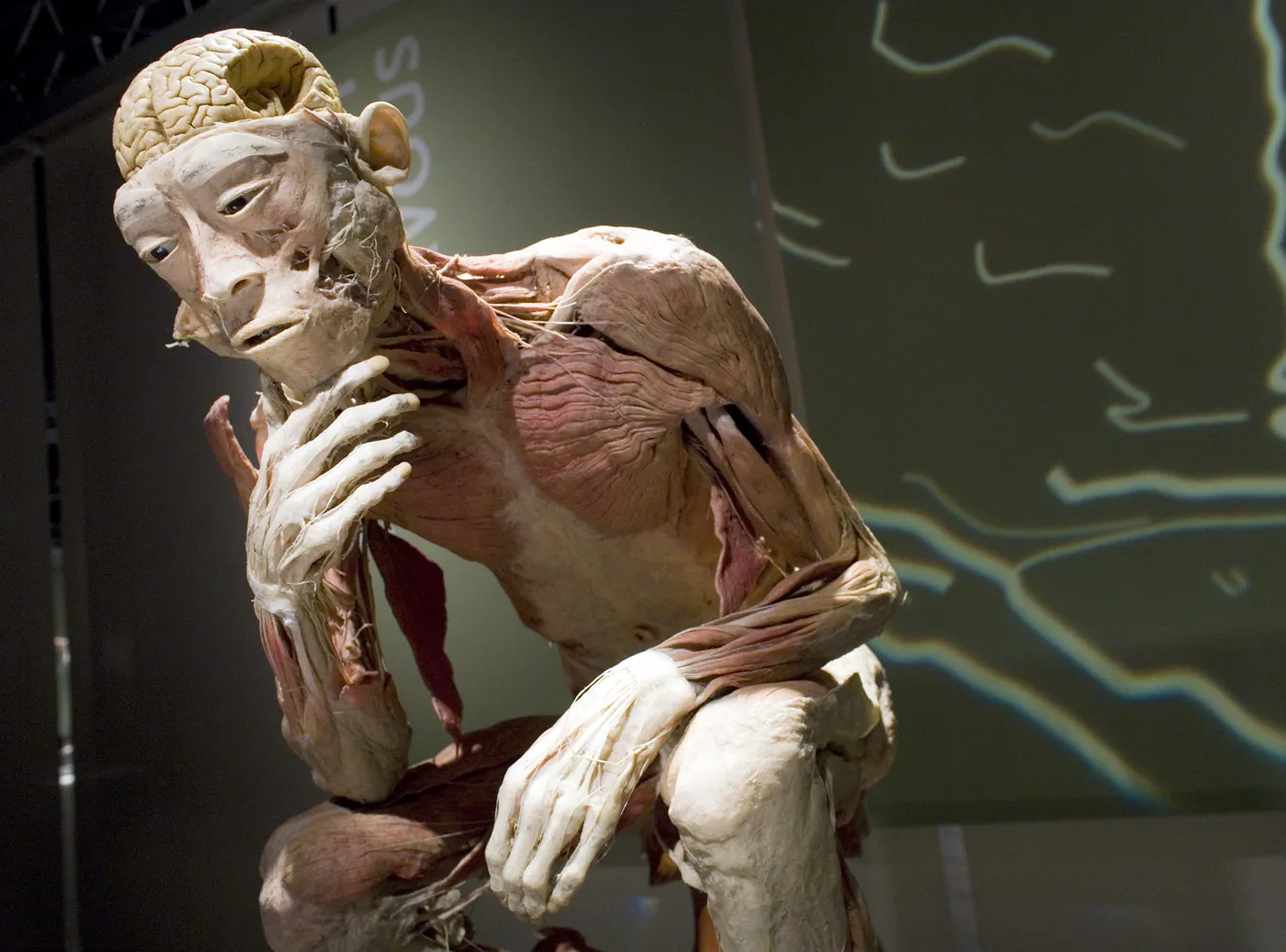 Prezesi Trybunału krytykują wystawę zwłok