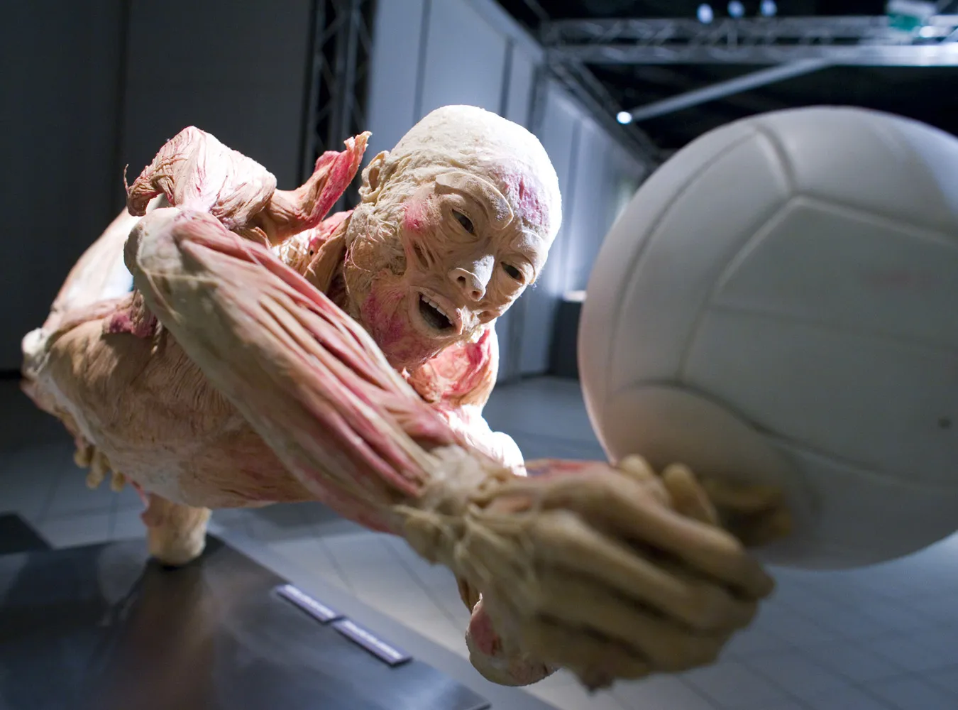 Tłumy przyszły oglądać martwe ciała ludzi