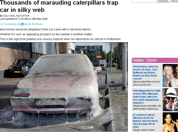 Larwy motyli próbowały zjeść hondę civic