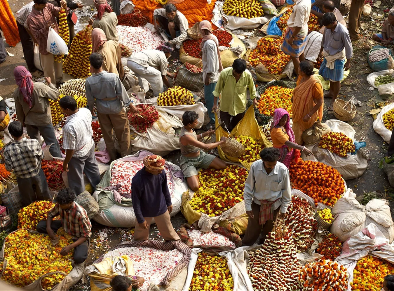 Miasto Kali i Matki Teresy