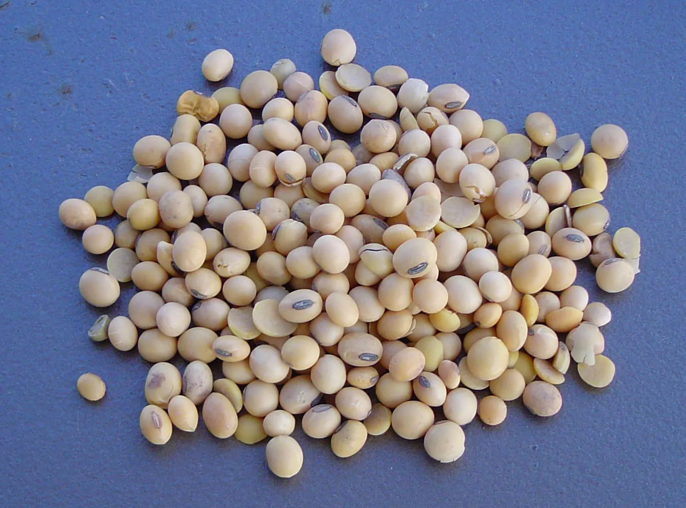 Popraw dietę, a poprawisz się w łóżku