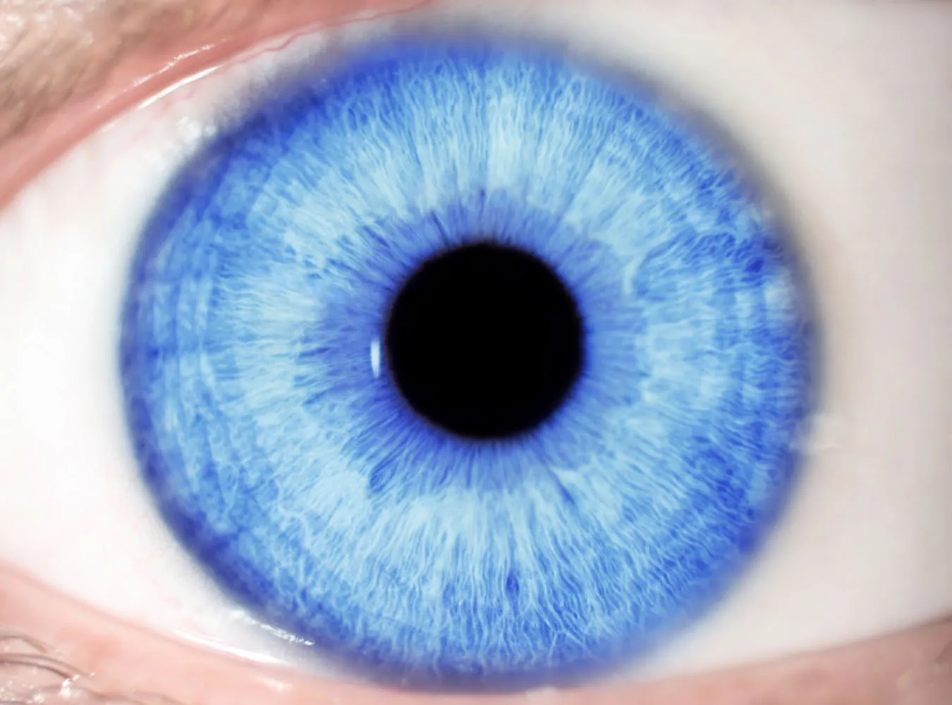 Bioniczne oko uleczyło niewidomego