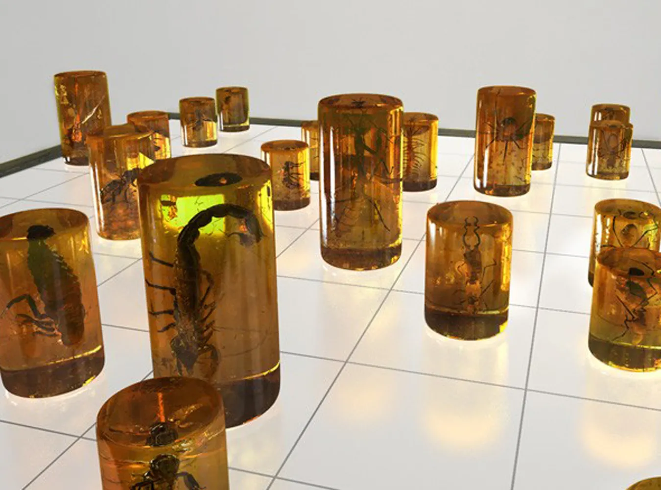 Daj mata prawdziwym robakiem