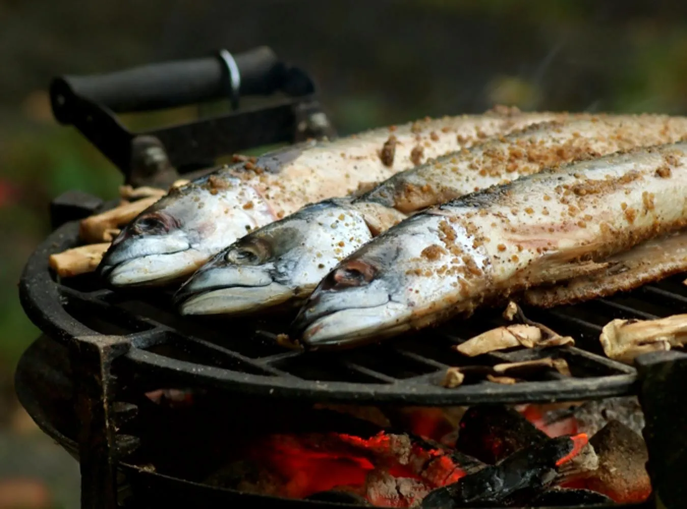 Karm nastolatka rybą, będzie mądrzejszy