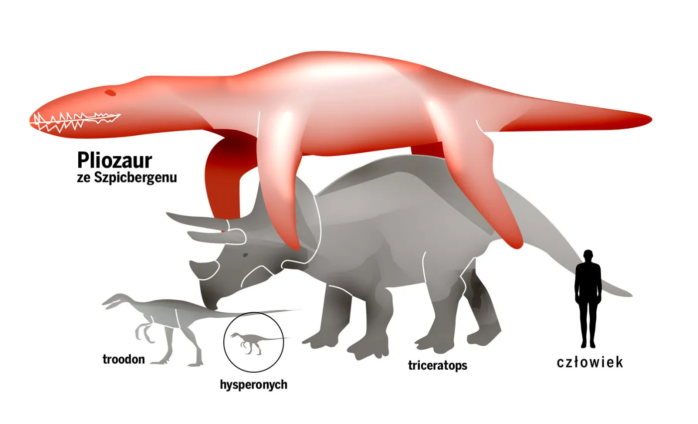 To monstrum pożarłoby furgonetkę