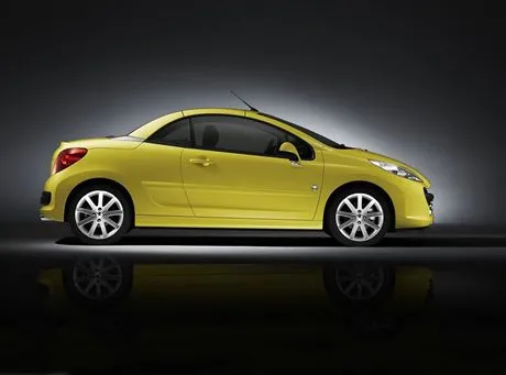 Prawdziwy lew na korcie