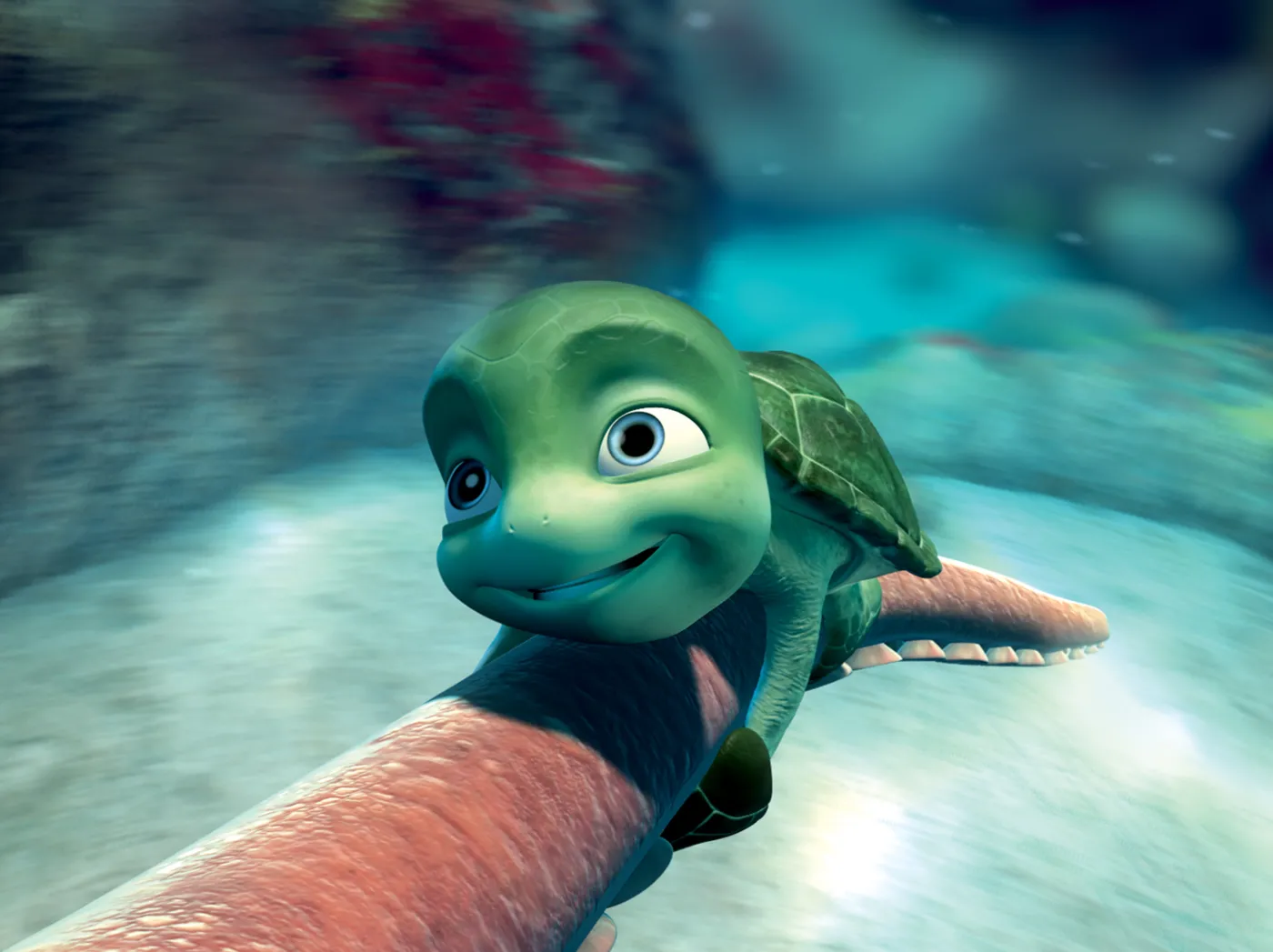 Żółwik Sammy w 50 lat dookoła świata