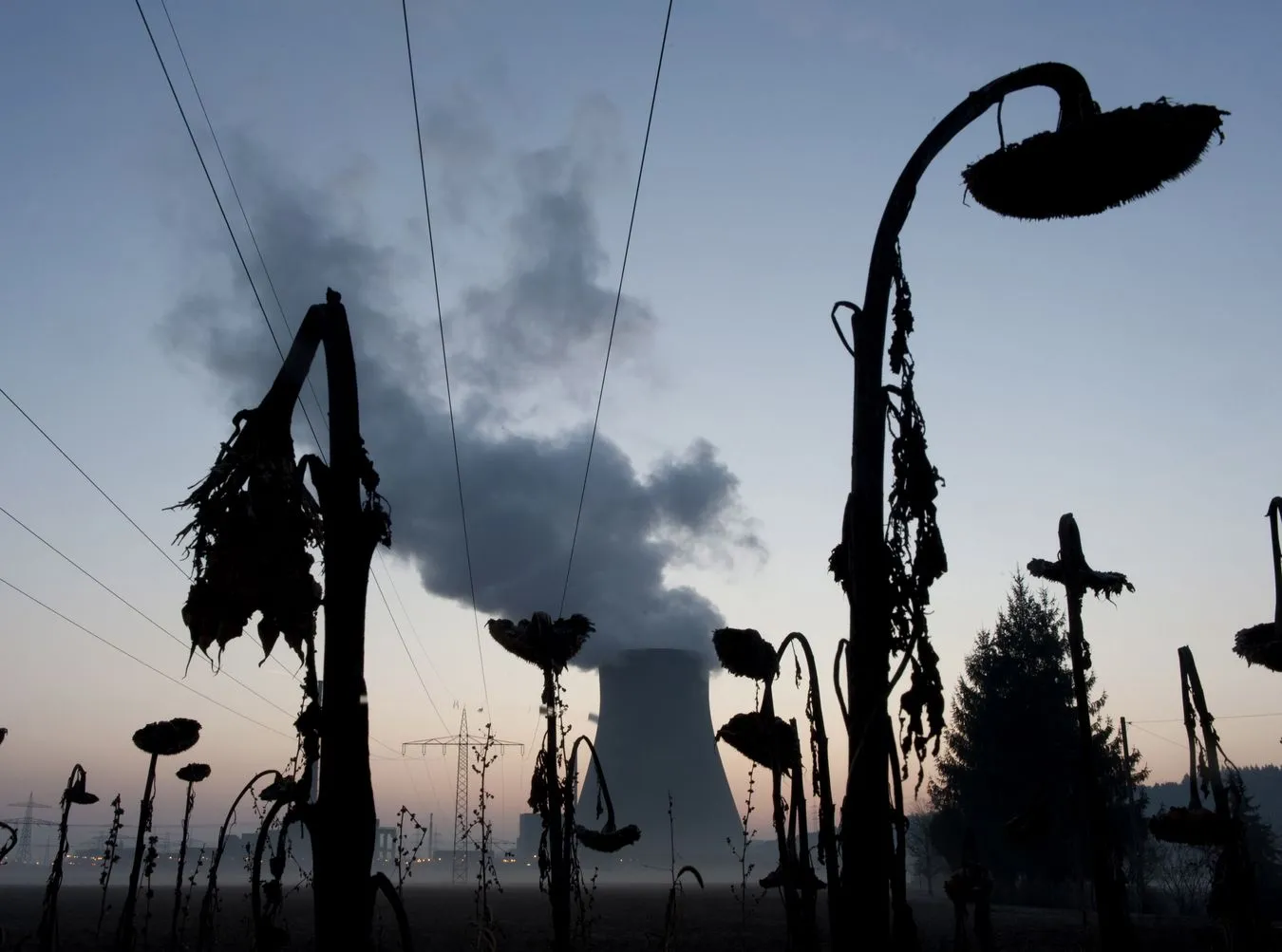 Wyciek z elektrowni jądrowej! Nie tylko Japonia ma problem